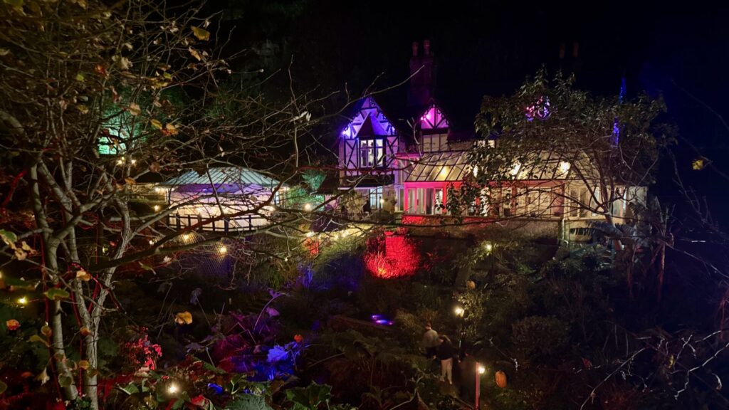 A nighttime photo of Shaknlin Chine, across to the cafe building. The coloured light illuminated the plantlife.