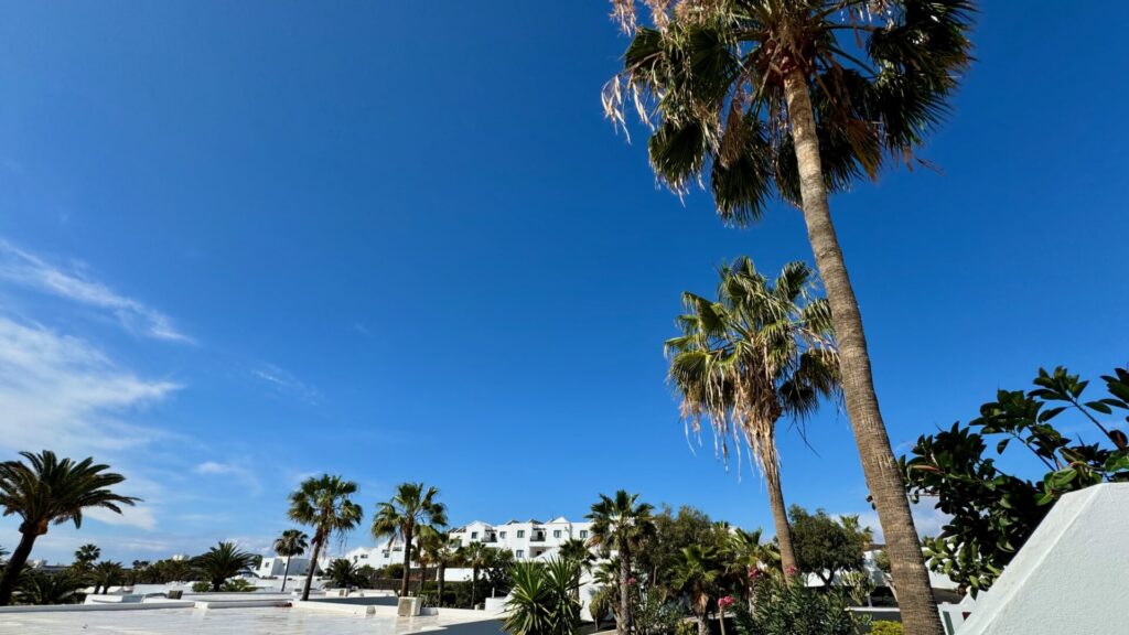 The image shows a typical Mediterranean resort setting with white-washed buildings arranged on a hillside. Several tall palm trees frame the scene against a vivid blue sky. The architecture appears to be in the traditional Mediterranean style with flat roofs and cubic forms. The foreground shows a paved area with tropical landscaping including palms and other greenery.