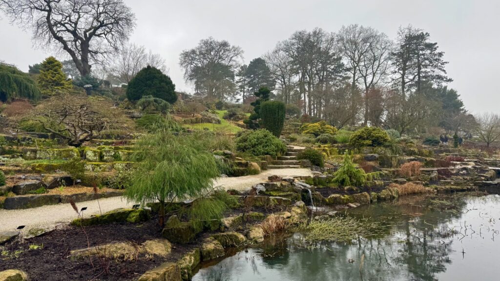 This image shows a winter scene at RHS Wisley, capturing one of its distinctive rock garden areas alongside a reflective pool of water. Despite being taken in February, the garden displays the characteristic year-round interest that Wisley is known for, with various textures and forms creating visual appeal even in the dormant season. The rockery rises in terraced levels, with moss-covered stones creating natural-looking steps and platforms. A gravel path winds through the rocky landscape, leading upwards through the garden.